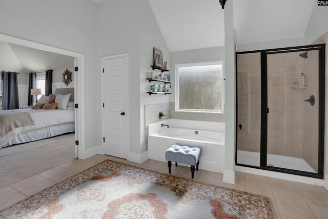 812 Village Well Court, Chapin, SC 29036