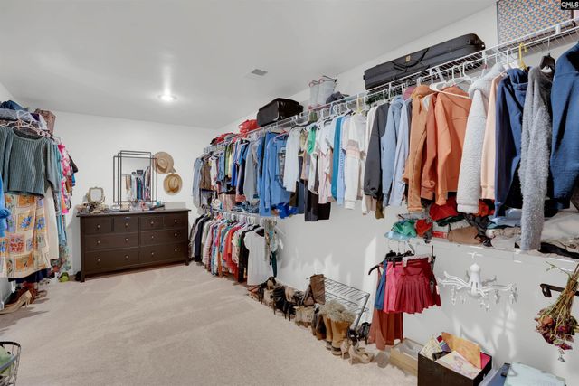 812 Village Well Court, Chapin, SC 29036