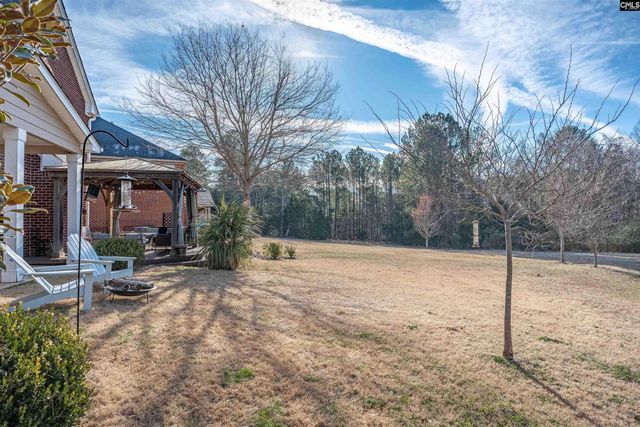 812 Village Well Court, Chapin, SC 29036