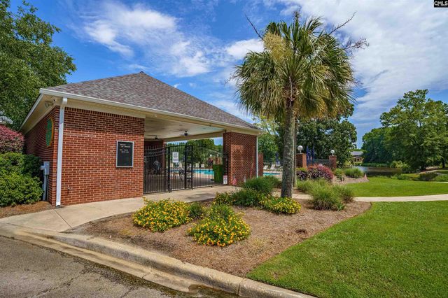 812 Village Well Court, Chapin, SC 29036