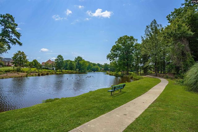 812 Village Well Court, Chapin, SC 29036