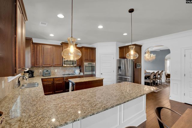 812 Village Well Court, Chapin, SC 29036