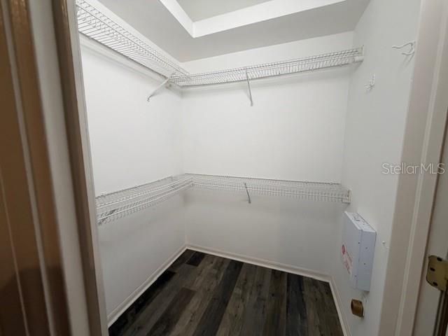 19143 DOVE CREEK DRIVE, Tampa, FL 33647