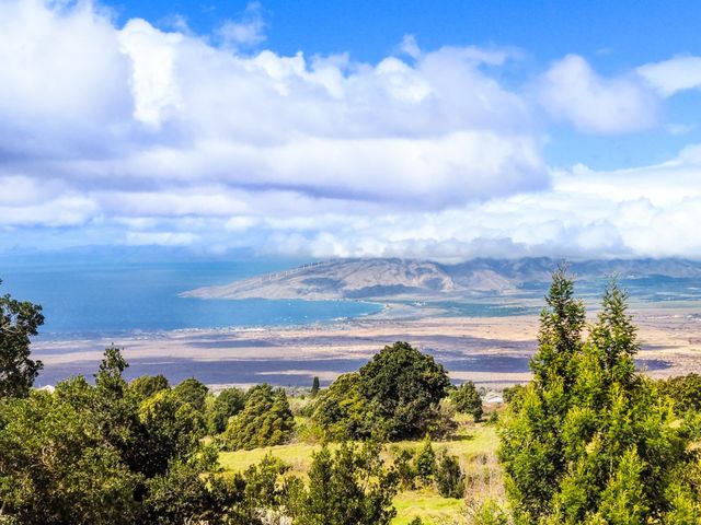 1375 Copp Rd, Kula, HI 96790