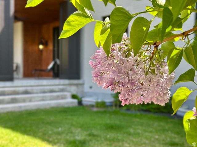 4545 S ABINADI RD, Salt Lake City, UT 84124
