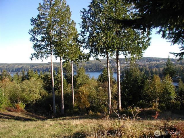 103 Wells Ridge Court, Port Ludlow, WA 98365
