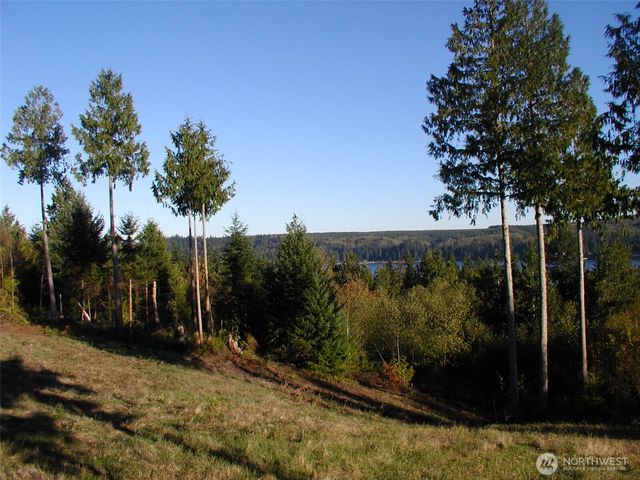 103 Wells Ridge Court, Port Ludlow, WA 98365