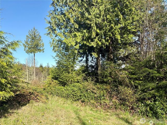 103 Wells Ridge Court, Port Ludlow, WA 98365