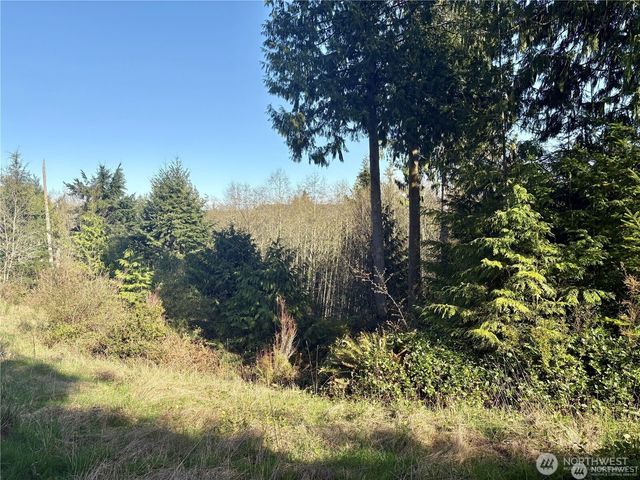 103 Wells Ridge Court, Port Ludlow, WA 98365