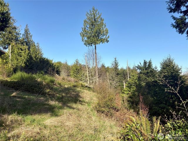 103 Wells Ridge Court, Port Ludlow, WA 98365