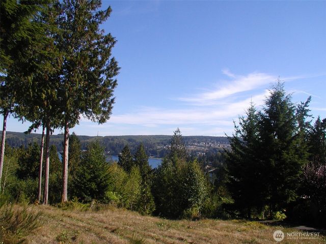 103 Wells Ridge Court, Port Ludlow, WA 98365