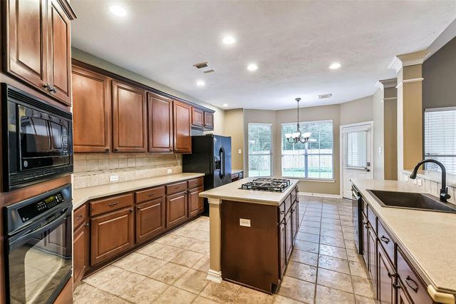 15 Filigree Pines Place, The Woodlands, TX 77382