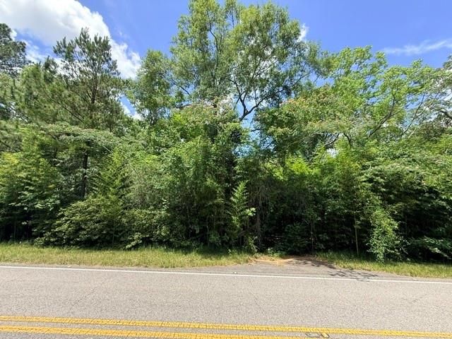 5791 Natchez Highway, Wilmer, AL 36587