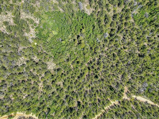 123 Yankee Hill Trl, Black Hawk, CO 80427