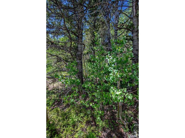123 Yankee Hill Trl, Black Hawk, CO 80427