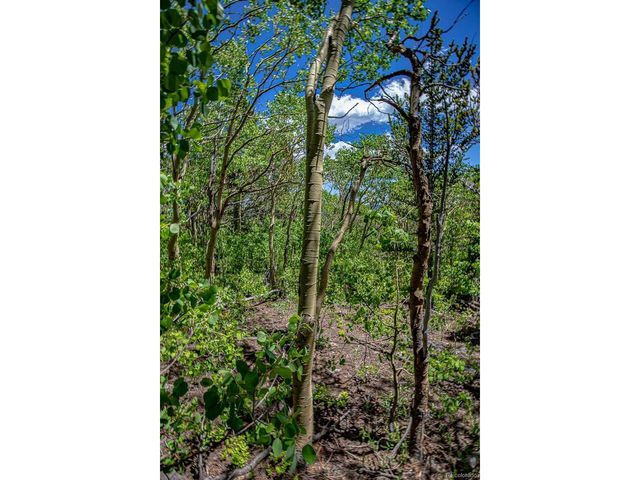 123 Yankee Hill Trl, Black Hawk, CO 80427