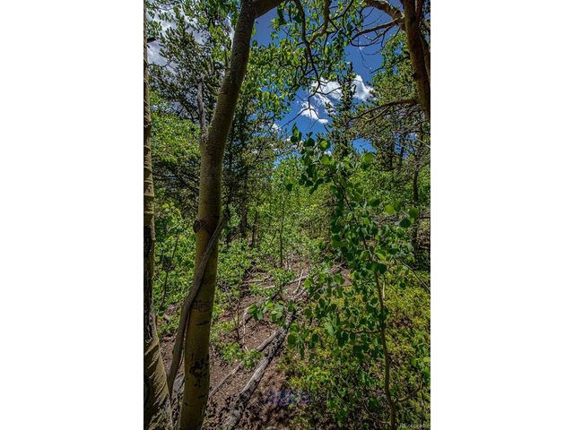 123 Yankee Hill Trl, Black Hawk, CO 80427