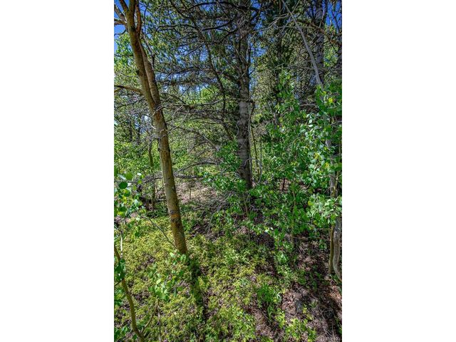 123 Yankee Hill Trl, Black Hawk, CO 80427