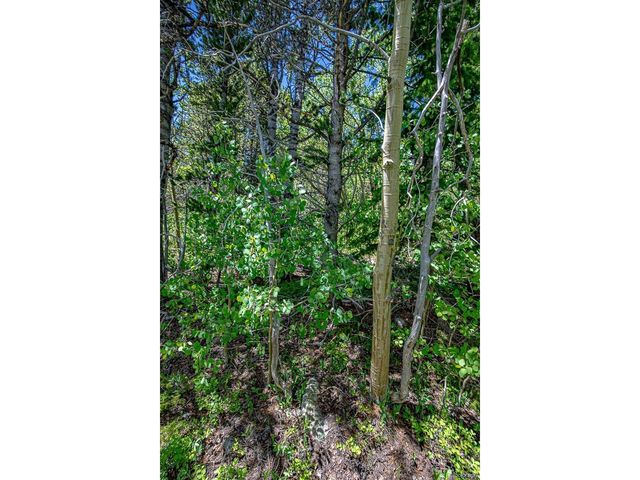 123 Yankee Hill Trl, Black Hawk, CO 80427