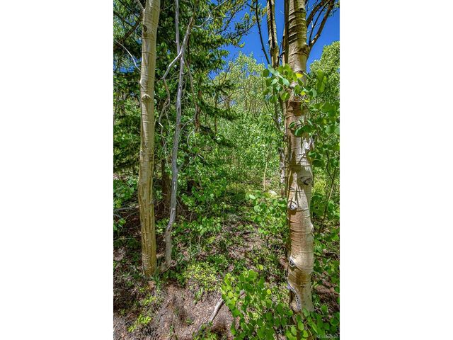 123 Yankee Hill Trl, Black Hawk, CO 80427