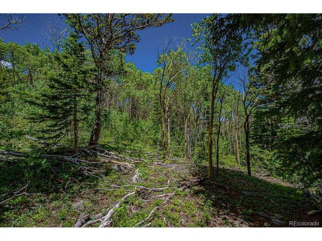 123 Yankee Hill Trl, Black Hawk, CO 80427