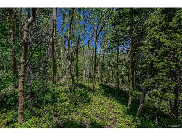 123 Yankee Hill Trl, Black Hawk, CO 80427