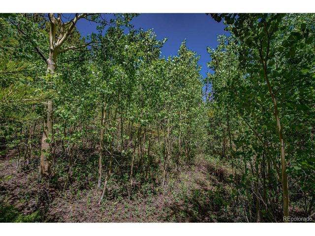 123 Yankee Hill Trl, Black Hawk, CO 80427