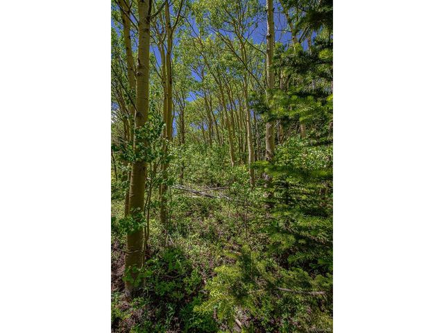 123 Yankee Hill Trl, Black Hawk, CO 80427