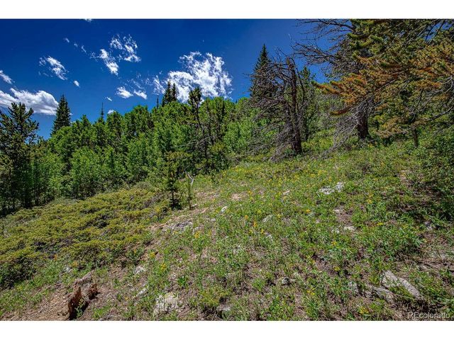 123 Yankee Hill Trl, Black Hawk, CO 80427