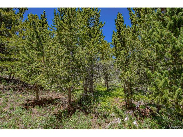 123 Yankee Hill Trl, Black Hawk, CO 80427