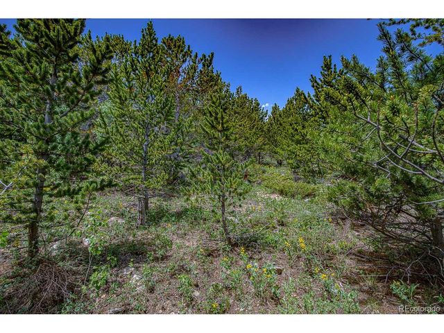 123 Yankee Hill Trl, Black Hawk, CO 80427