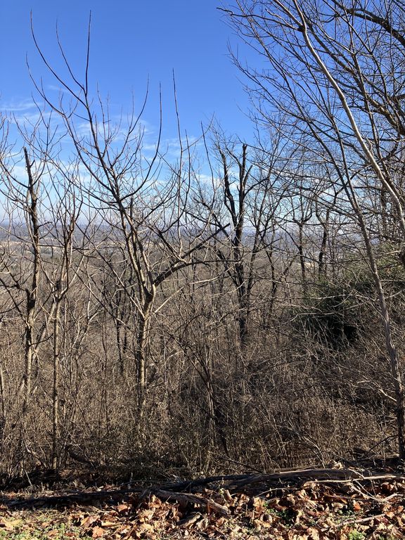 1200 Longstreet Cir, Brentwood, TN 37027