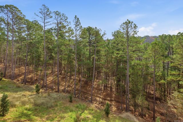 173 Ridgeview Trail, Maumelle, AR 72113