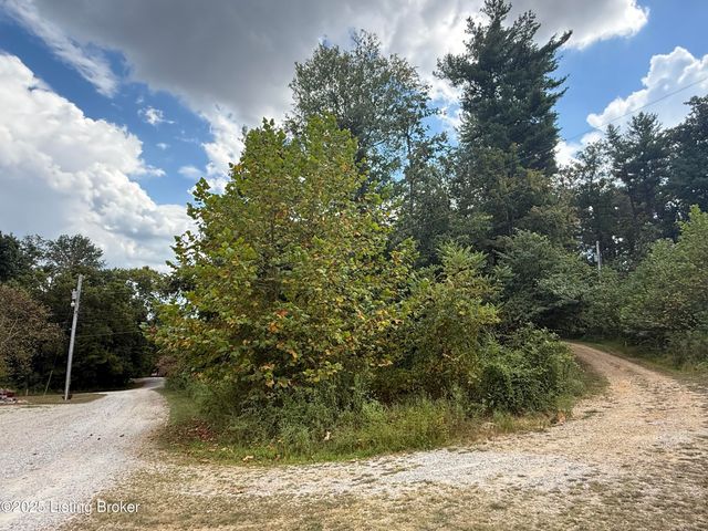 Lot 125 High St, Mcdaniels, KY 40152