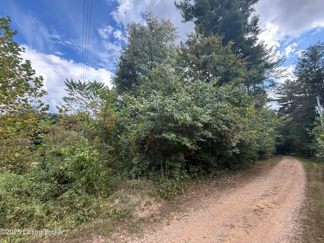 Lot 125 High St, Mcdaniels, KY 40152