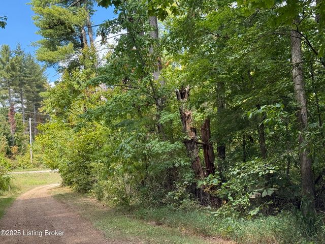 Lot 125 High St, Mcdaniels, KY 40152