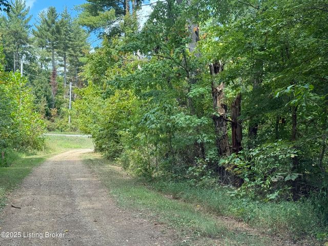 Lot 125 High St, Mcdaniels, KY 40152