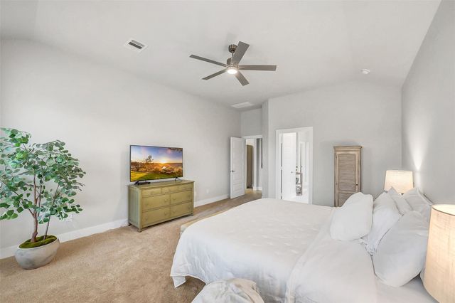 409 Piney Rocks Lane, Waller, TX 77484