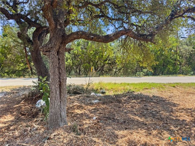 1107 High Point Lane, Spring Branch, TX 78070