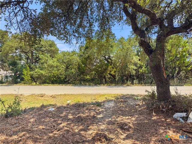 1107 High Point Lane, Spring Branch, TX 78070