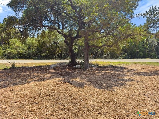 1107 High Point Lane, Spring Branch, TX 78070