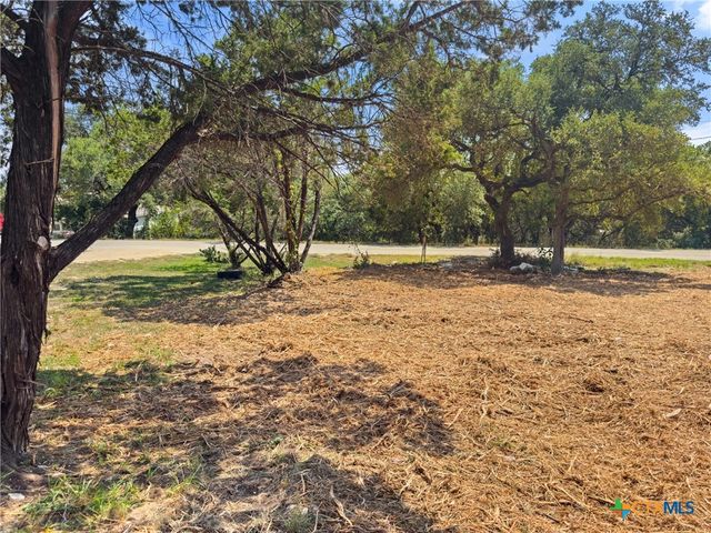 1107 High Point Lane, Spring Branch, TX 78070