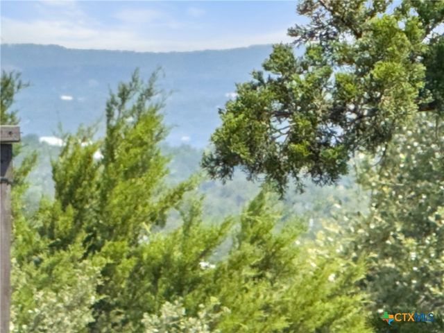 1107 High Point Lane, Spring Branch, TX 78070