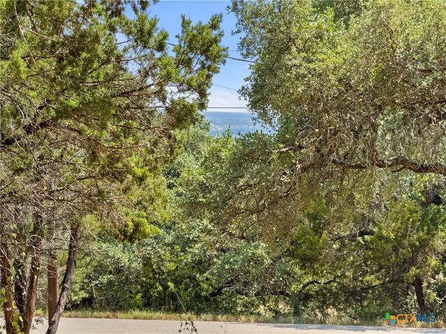 1107 High Point Lane, Spring Branch, TX 78070