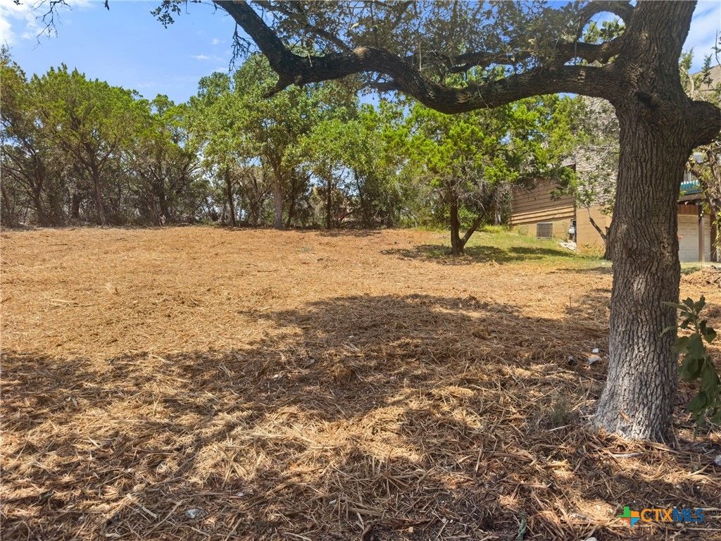 1107 High Point Lane, Spring Branch, TX 78070