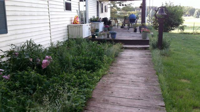 2849 Shaffer Road, Beaverton, MI 48612