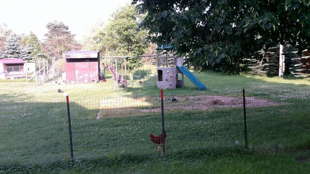 2849 Shaffer Road, Beaverton, MI 48612