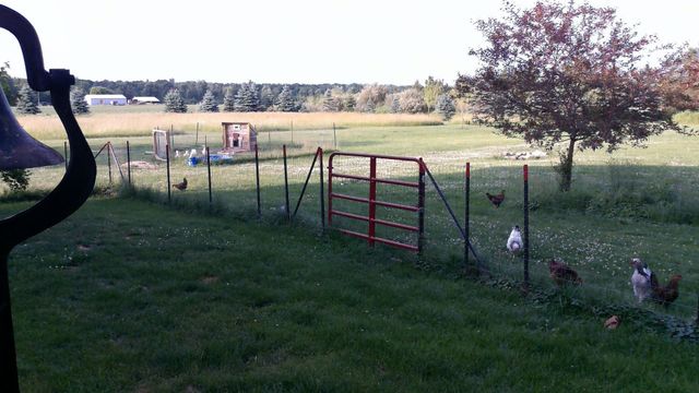 2849 Shaffer Road, Beaverton, MI 48612