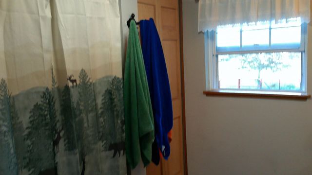 2849 Shaffer Road, Beaverton, MI 48612