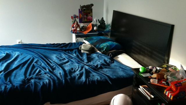 2849 Shaffer Road, Beaverton, MI 48612